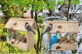 InCollage_20260126_155637446.jpg