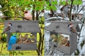 InCollage_20260126_155519485.jpg