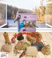 InCollage_20260126_141931038.jpg