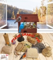 InCollage_20260126_141914805.jpg