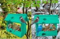 InCollage_20260126_154901825.jpg