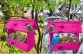 InCollage_20260126_154718787.jpg