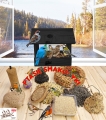 InCollage_20260126_141316933.jpg