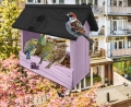 InCollage_20260128_121555909.jpg