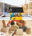 InCollage_20260128_142240890.jpg