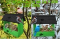 InCollage_20260127_204424077.jpg