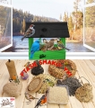 InCollage_20260128_142223231.jpg