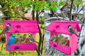 InCollage_20260209_174403979.png
