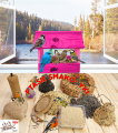 InCollage_20260211_165321803.png