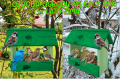 InCollage_20260209_174551896.png
