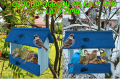 InCollage_20260209_174300369.png