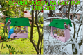 InCollage_20260224_191550671.png