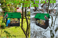 InCollage_20260224_190448106.png