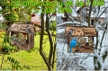 InCollage_20260417_155340545.jpg