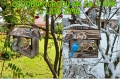 InCollage_20260417_155229303.jpg