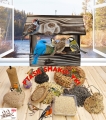 InCollage_20260417_165644018.jpg