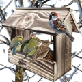 InCollage_20260415_171011567.jpg