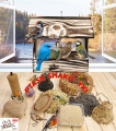 InCollage_20260417_165742732.jpg