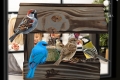 InCollage_20260417_145854343.jpg