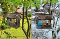 InCollage_20260417_155203201.jpg