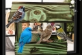 InCollage_20260417_145823450.jpg