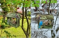 InCollage_20260417_155138327.jpg