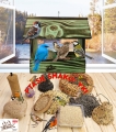 InCollage_20260417_165602253.jpg
