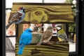 InCollage_20260417_145754951.jpg