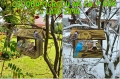 InCollage_20260417_155115761.jpg