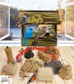 InCollage_20260417_165542322.jpg