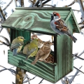 InCollage_20260415_170738440.jpg