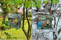 InCollage_20260417_155051525.jpg