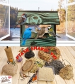 InCollage_20260417_165521653.jpg