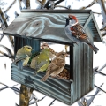 InCollage_20260415_170619935.jpg