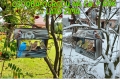 InCollage_20260417_154957413.jpg