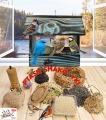 InCollage_20260417_165438527.jpg
