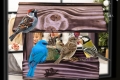 InCollage_20260417_145409572.jpg