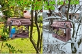 InCollage_20260417_154910674.jpg