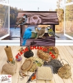 InCollage_20260417_165357176.jpg