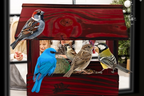 InCollage_20260417_115623262.jpg