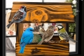 InCollage_20260417_115545883.jpg