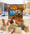 InCollage_20260417_165318269.jpg