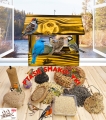 InCollage_20260417_165257668.jpg