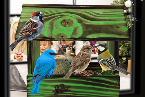 InCollage_20260417_115214556.jpg