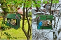InCollage_20260417_154656336.jpg
