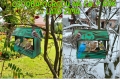 InCollage_20260417_154630689.jpg