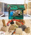 InCollage_20260417_165052183.jpg