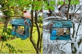 InCollage_20260417_154609737.jpg