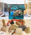 InCollage_20260417_165033385.jpg