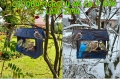 InCollage_20260417_154546800.jpg